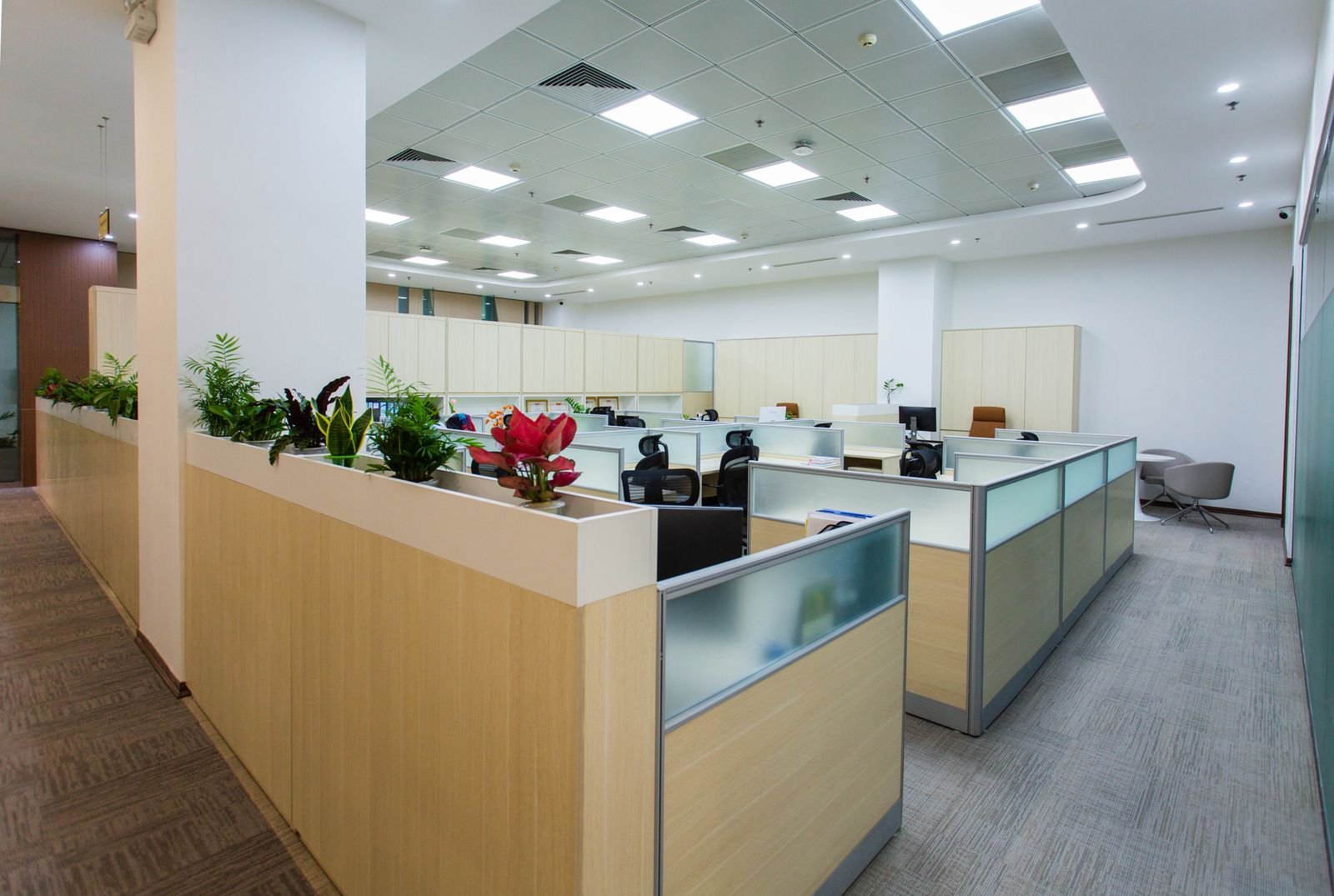 Clean open-plan office